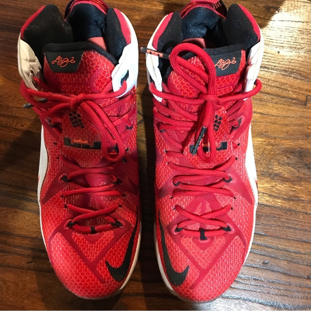 👟Nike Lebron XII Heart of a Lion Sneakers